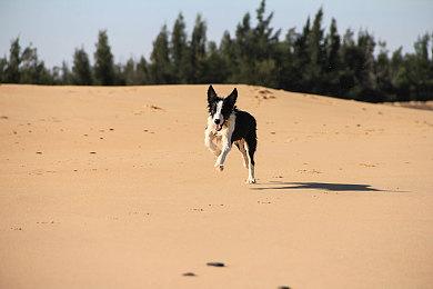 《使命召唤：战区2.0》将于11月16日发售